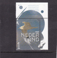 Netherlands Pays Bas 2020 Drieteenmeeuw Black-legged Kittiwake MNH** - Unused Stamps