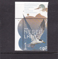 Netherlands Pays Bas 2020 Dwergstern Little Tern  MNH** - Unused Stamps