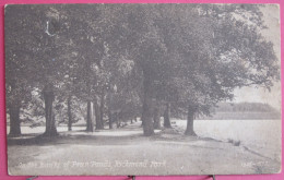 Visuel Très Peu Courant - Angleterre - Richmond Park - On The Banks Of Penn Ponds - Otros & Sin Clasificación