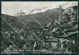 Torino Bussoleno Foresto Foto FG Cartolina ZK2575 - Altri & Non Classificati