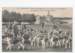 AJC - Chantilly - Meute De L'equipage S A R Mgr Le Duc De Chartres Sur La Pelouse Devant Les Grandes Ecuries - Chantilly