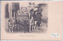 ANVERS- ATTELAGE DE CHIENS FLAMAND - Other & Unclassified