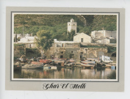 Tunisie : Ghar El Melh «grotte Du Sel» Anciennement Porto Farina : Le Port De Pêche - Tunesië