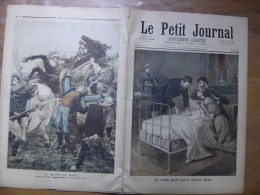 1894 LE PETIT JOURNAL 201 Croup Gueri Par Le Docteur Roux Mort De Bara - 1850 - 1899