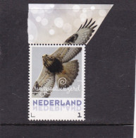 Netherlands Pays Bas 2016 Ruigpoot Buizerd Rough-legged Buzzard MNH** - Nuevos