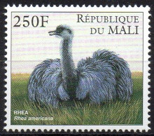 MALI 1997 - 1v - MNH - Ostrich - Ostriches - Autruche Autruches - Oiseaux Aves Vögel Uccelli Flightless Birds Endangered - Hoendervogels & Fazanten