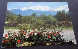 L'été Dans Les Alpes - Massif De Fleurs Face Au Mont-Blanc - Editions Jansol, Chambéry - Chamonix-Mont-Blanc