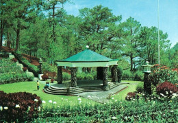 1 AK Philippinen * Amphitheather Camp John Hay In Baguio City - Ein Pavillon Mit Einem Blumengarten Und Terrassen * - Philippinen