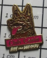 1618B Pin's Pins / Beau Et Rare : ANIMAUX / CHIEN BERGER ALLEMAND CLUB CANIN HAM SOUS VARSBERG - Animals