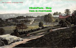 R437404 Tunbridge Wells. The Common. Postcard - Wereld