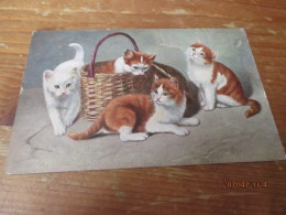 Fantasiekaart Katten - Chats