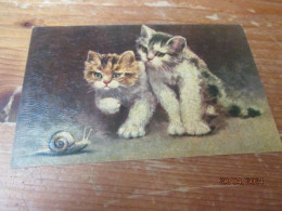 Fantasiekaart Katten - Chats