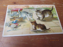 Fantasiekaart Katten - Katzen