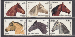 Romania 1970 - Horses, Mi-Nr. 2888/93, MNH** - Unused Stamps