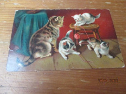 Fantasiekaart Katten - Cats