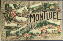 Montluel Multivues Vue Générale - Montluel
