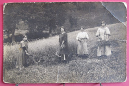 Carte Photo - Jeunes Femmes Faisant Les Foins Avec Faucille - Cultivation