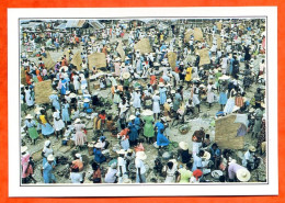 ANTILLES  HAÏTI  Scène De Marché - Geografia