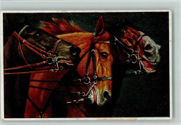 10084804 - Pferde  O.G.Z.-L. 281  Pferdkoepfe - Pferde