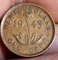 NEW Foundland, 1 CENT, 1943 C, KM# 18, George VI, Perfect, Agouz - Canada