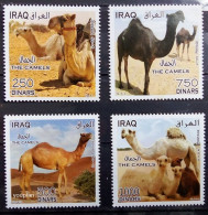 Iraq 2013, Camels, MNH Stamps Set - Iraq