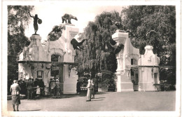 CPA Carte Postale  Germany Hamburg Stellinger Carl Hagenbeck's Tierpark Haupeingang    VM79844ok - Stellingen