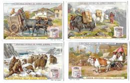 S 503, Liebig 6 Cards, Races Bovines - Liebig