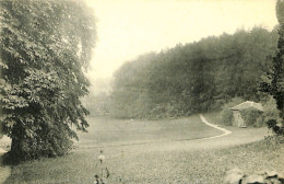 Belgique - Brussel - Bruxelles - Uccle - Ukkel - Château De Wolvendael à Uccles - Vue Dans Le Parc - Uccle - Ukkel