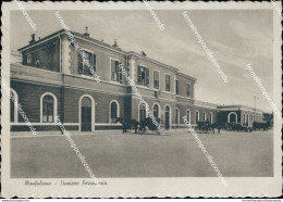 Cm440 Cartolina Monfalcone Stazione Ferroviaria Provincia Di Gorizia Friuli - Gorizia