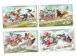 S 380, Liebig 6 Cards, Fleurs, Oiseaux Et Papillons - Liebig