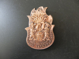 Old Badge Schweiz Suisse Svizzera Switzerland - Fasnacht Frenkendorf 2015 - Non Classés