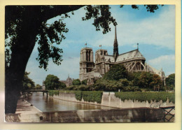 PARIS (04) Abside De La Cathédrale Notre-Dame (voir Scan Recto/verso) - Arrondissement: 04