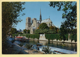 PARIS (04) La Cathédrale Notre-Dame / Bateaux (voir Scan Recto/verso) - Arrondissement: 04