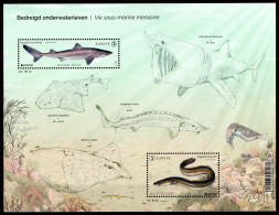 BE   BL329   XX   2024   ---   Europa : Vie Sous-marine Menacée... - 2002-… (€)