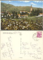 CRESPANO DEL GRAPPA -TREVISO -PANORAMA 1964 ACQUERELLATA - Treviso