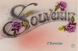 Souvenir D'Auvelais - Sambreville