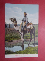 Carte Postale CPA - Camel Cavalry Transport -  (B318) - Altri & Non Classificati