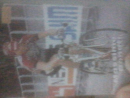CYCLISME 1996  : PETITE CARTE MASSIMO DONATI TEAM SAECO  (série Merlin Ultimate) - Cyclisme