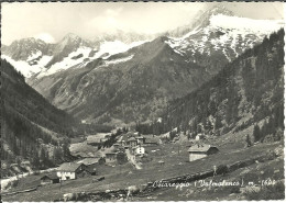 Chiareggio Fraz. Di Chiesa In Valmalenco (Sondrio) Panorama, General View, Vue Generale - Sondrio