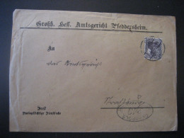 Deutsches Reich- Bedarfs-Brief Gelaufen 1919 Mit MiNr. 101 Von Pfeddersheim Nach Strassburg Im Els., Kontrollstempel 219 - Lettres & Documents