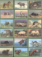 13801504 - Sammelbilder Lot Mit 19 Div - Stamps (pictures)