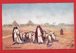 EGYPT  CHANGING PASTURES   SHEEP SHEPHERD   RAPHAEL TUCK SERIES  LCC REWARD CARD - Other & Unclassified