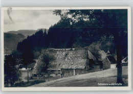 10047704 - Schwarzwald-Schwarzwald Haeuser Foto AK - Hochschwarzwald