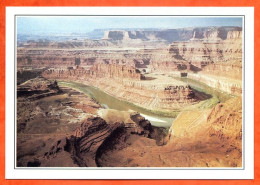 ETATS UNIS  USA  Colorado River Dead Horse Point - Aardrijkskunde