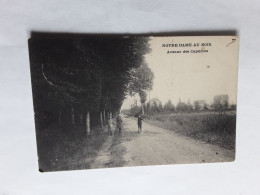 JESZUS-EIK OVERIJSE NOTRE-DAME-AU-BOIS AVENUE DES CAPUCINS VERZONDEN 1909 - Overijse