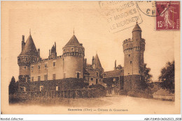ABKP11-18-0955 - SANCOINS - Chateau De Grossouvre - Sancoins