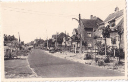 Delcampe - Koksijde - Coxyde :  Lalouxlaan - Koksijde