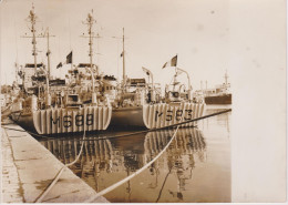 PHOTO DRAGUEUR DE MINES ANCRES A PORT VENDRES CHAPELET DE MINES MMAGNETIQUES FEVRIER 1960 - Barcos