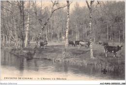 AAJP6-16-0502 - ENVIRONS DE COGNAC - L'Antenne à La Billarderie - Cognac