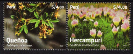 Peru - 2022 - Flora - Medicinal Plants - Polylepis Racemosa And Gentianella Alborosea - Mint Stamp Set - Perú